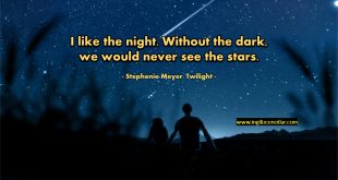 Stephenie Meyer - Geceyi