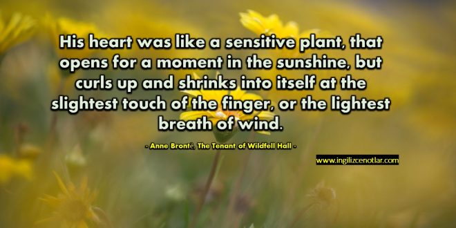 Anne Brontë - Kalbi hassas bir bitki gibiydi, güneşte bir an için açılıyor...