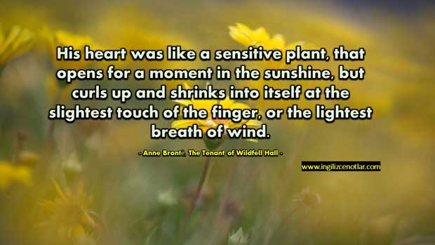 Anne-Brontë-Kalbi-hassas-bir-bitki-gibiydi