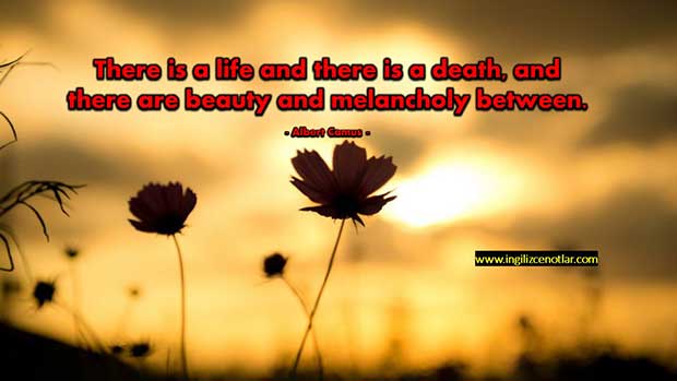 İngilizce-Albert-Camus-Hayat-var-ve-ölüm-var.-Ve-bu-ikisinin-arasında