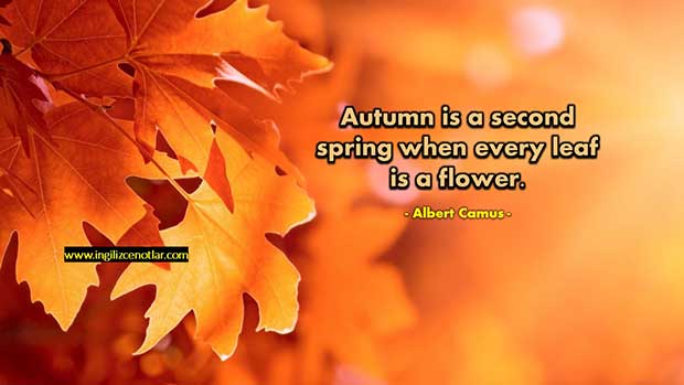 İngilizce-Albert-Camus-Sonbahar,-ikinci-bahardır;-yaprakların
